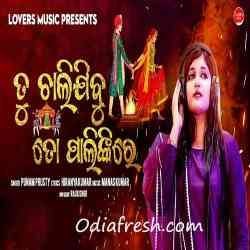 Tu Chali jibu To Palinkire